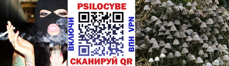 Псилоцибиновые грибы мухоморы купить закладку Верея